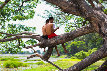 Two boys sitting on a tree reading a book.