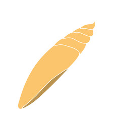 Beautiful curly seashell on an isolated background. Malyusk in the sink.