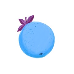blue juicy fruit similar to a berry on a white background