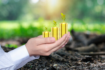  money coin for growing your business. plant seedlings growth