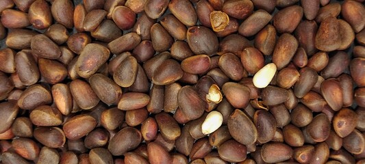 background of pine nuts in shell, brown background