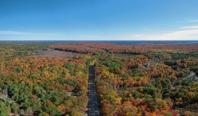 Aerial view of paved road winding through colorful fall forest - bright yellow, red, orange, green  trees. Blue sky, sunny day. Muskoka, Northern Ontario, Canada.