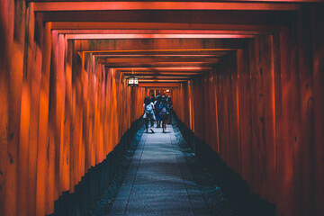 view in Fushimi Inari Shrine