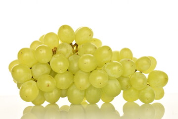 Ripe bunch of grapes, close-up, isolated on black.