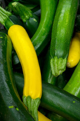 Zucchini