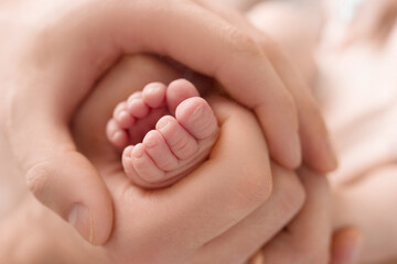 Feet of the newborn in the hands of the mother, parent. Studio photography, white background. Happy family concept.