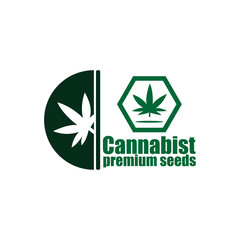 cannabis design logo vector. illustration cannabis logo business.