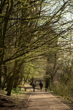 canal roubaix