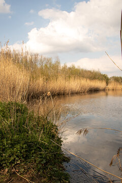 bassin filtrant