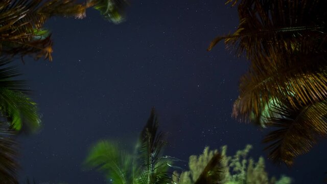 Vertical Time Lapse shot of Stars Rotating and Orion's Nebula from Forest, India