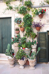 colorful plants  in a courtyard