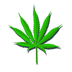 Marijuana on white background