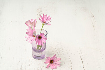 pink daisy flowers in a vase on a wooden table