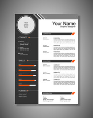 PROFESSIONAL RESUME, MODERN RESUME