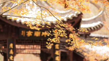 The beautiful classical Chinese garden autume view covered by the white snow after the snowing at night