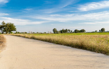 Obraz premium The landscape and the road with sky and clouds, Clearing day and Good weather in the morning.