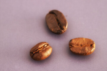 Close up of three coffee beans on violet background. Copy space