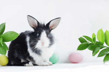 Easter bunny with a yellow, pink and green egg on a white gray background with green leaves. Easter holiday concept. Copy space.