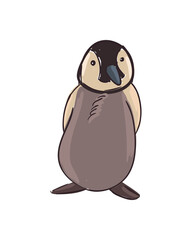 Cute penguin cartoon