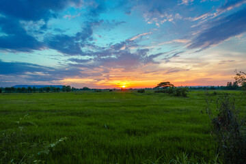 Fototapeta premium sunset over the field