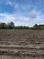 Cruz de piedra al fondo sobre una extensión de cultivo en Galicia