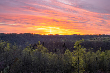 Sunrise and Trees