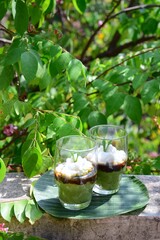 Bubur Sumsum Pandan or pandan rice porridge with Palm sugar sauce. Popular food during Ramadan. Leaves background