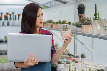 A beautiful Asian woman in a red and blue scottish shirt stands. holding a laptop On the farm cactus to accept orders for a cactus from an online market customer