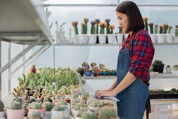 A beautiful Asian woman in a red and blue scottish shirt is using a laptop at a cactus farm to accept cactus orders from customers on an online marketplace.