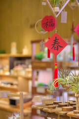 The name of the plant hanging in the air is Tillandsia