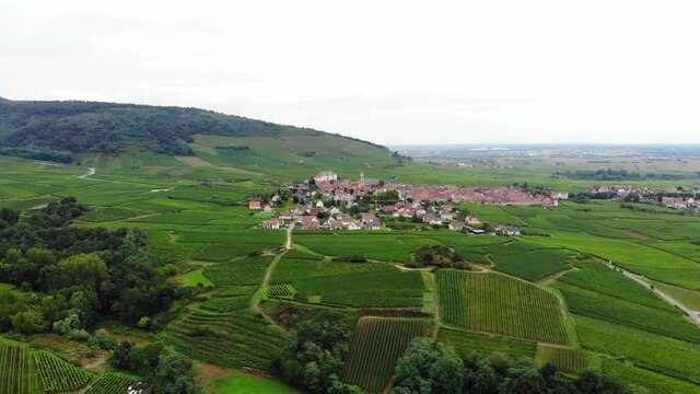 Green fields of vine at foothill and plain, old Saint-Hippolyte town seen ahead, aerial shot of Alsace in cloudy summer day. Famous Wine Route landscapes, Haut-Rhin department of France