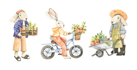 Watercolor cute bunnies collection. Gardener with box and vegetables. Bunny on bicycle. Bunny with wheel barrow. Harvest. Baby character. Perfect for invitations, greeting cards, packing, Baby shower