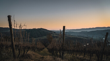 sunset in the mountains and wine yard