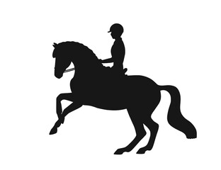 Silhouette of athlete riding a horse. The horse stands on hind legs