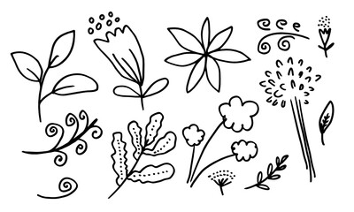 a collection of hand-drawn flower images such as bellflower, chrysanthemums, sunflowers, cotton flowers, and tropical leaves