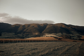 landscape with mountains