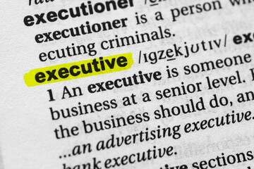 Highlighted word executive concept and meaning.