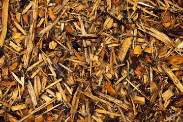 Wooden chips background image