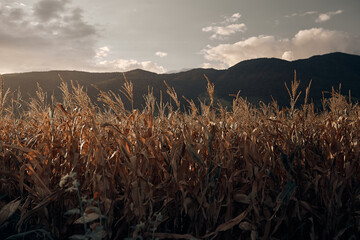 sunset in the mountains