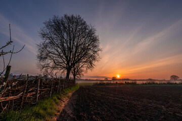 Fototapeta na wymiar Sunset in the field with fog