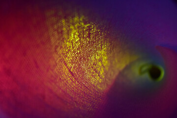 abstract background with circles