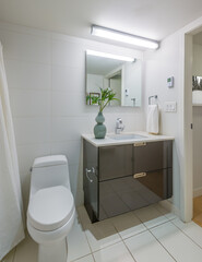 Fragment of a luxury bathroom