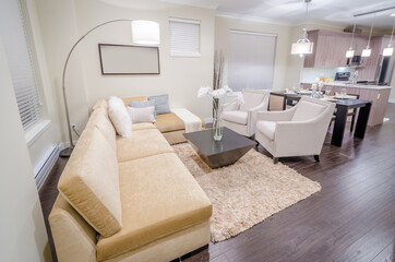 Interior design of a luxury living room