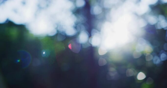 Slow Motion POV shot of Out of Focus Jungle in Kuala Lumpur, Malaysia