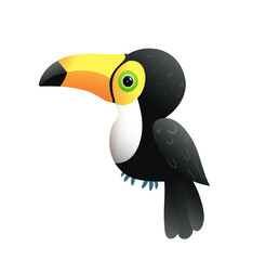 Cute baby toucan bird isolated on white. Adorable toucan character kids vector cartoon. © Popmarleo
