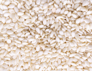 Background of sesame seeds close up