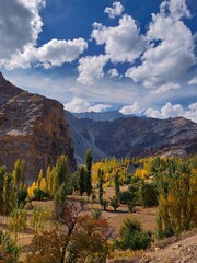 fall in the mountains of India