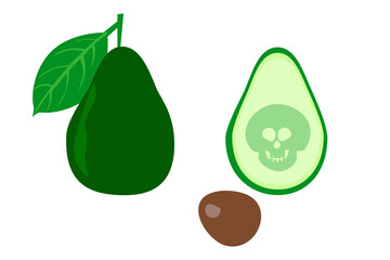 dangerous ripe avocado with a skull on it, the concept of the dangers of chemical additives and pesticides in fruit growing