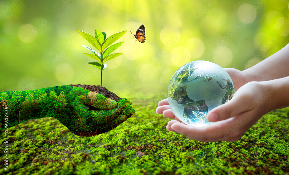 Wall mural concept save the world save environment the world is in the grass of the green bokeh background