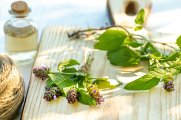 Prunella vulgaris, self-heal, carpenter's herb purple flower tincture on wooden cutting board ready for drying and making tea and infusions. Useful herb for use in cosmetology and alternative medicine